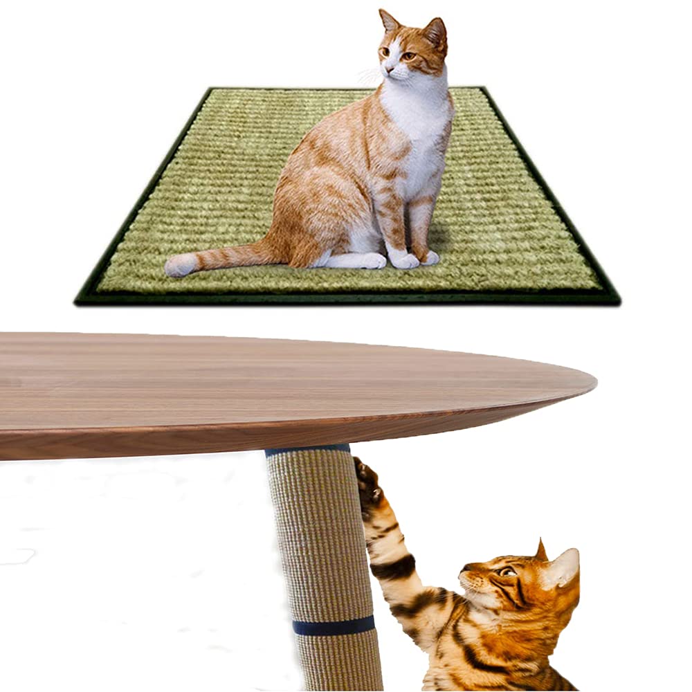 See full amazon price history chart for Mats Avenue® Cat Scratch Pad Made of Coir and Rubber (46x46 CM) Set of 1 and Mats Avenue® Cat Scratch Post Sisal and Hook and Loop and Tape 25x60 Cm Set of 1 Beige Color Mats Avenue® Cat Scratch Pad Made of Coir and Rubber (46x46 CM) Set of 1 and Mats Avenue® Cat Scratch Post Sisal and Hook and Loop and Tape 25x60 Cm Set of 1 Beige Color (B09DW7H2Q8) Amazon Price History, Amazon Price Tracker