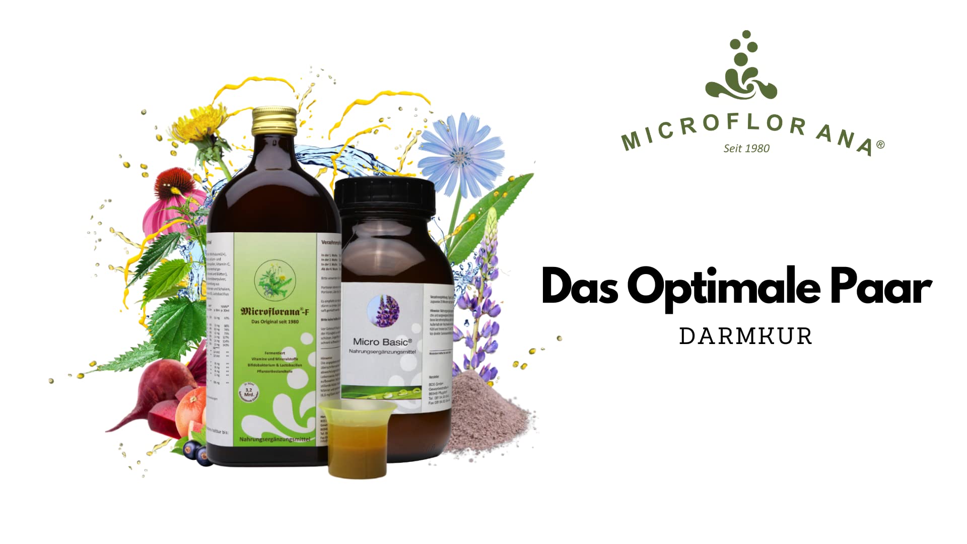 Darmkur - Probiotika und Präbiotika - Lebendige Darmbakterien - Bakterien Nahrung - Darmsanierung - Kulturen Komplex - Das Optimale Paar - Set (Große Darmsanierung)
