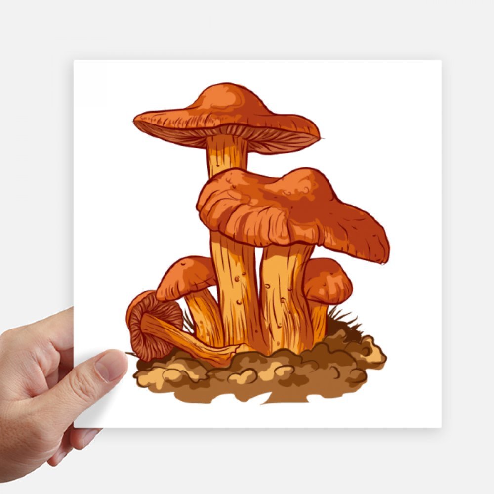 Sticker carré champignon orange décoration murale et pc portable 20 cm lot de 4