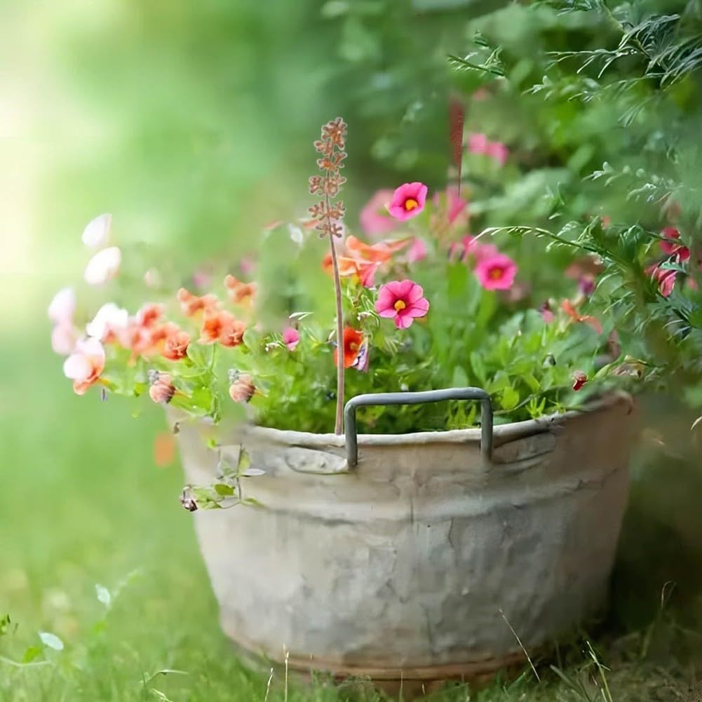 10 Pezzi Decorazioni da Giardino in Metallo Arrugginito, Fiori Rustici per Esterni, 10 Design Unici, Installazione a Pressione Senza Attrezzi, per Aiuole, Vasi, Sentieri, Cortile