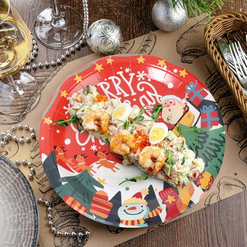 100 PCS Christmas Paper Plates and Napkins, Red Merry Christmas Santa Claus 9 Inch Party Paper Plates and Napkins, Disposable Tableware Set, Serve for 50 Guests – Image 6