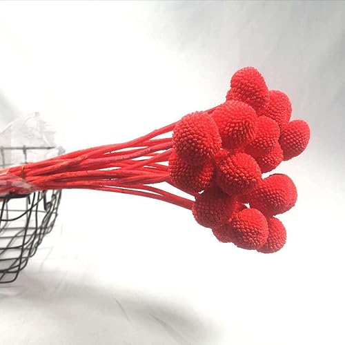 Vista 15 de 20 unidades de flores secas naturales, bolas de Billy amarillas, flores secas de 16 pulgadas, ramo de arreglos de flores para jarrones bohemios