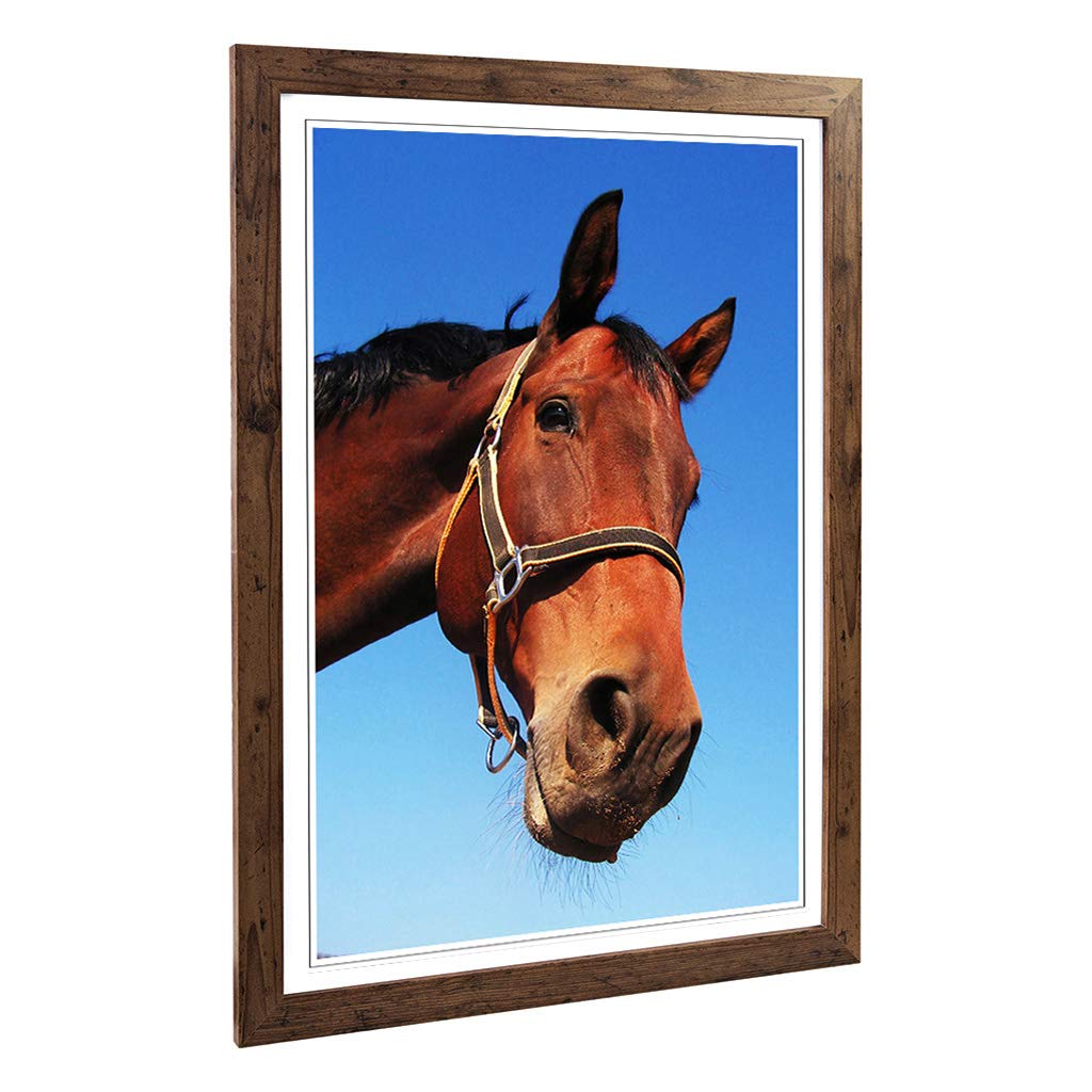 Big Box Art Framed Print of Horse Design | Wall Art Picture | Home Decor for Kitchen, Living, Dining Room, Lounge, Bedroom, Hallway, Office, Walnut, A2 / 24.5x18 Inch / 62x45cm
