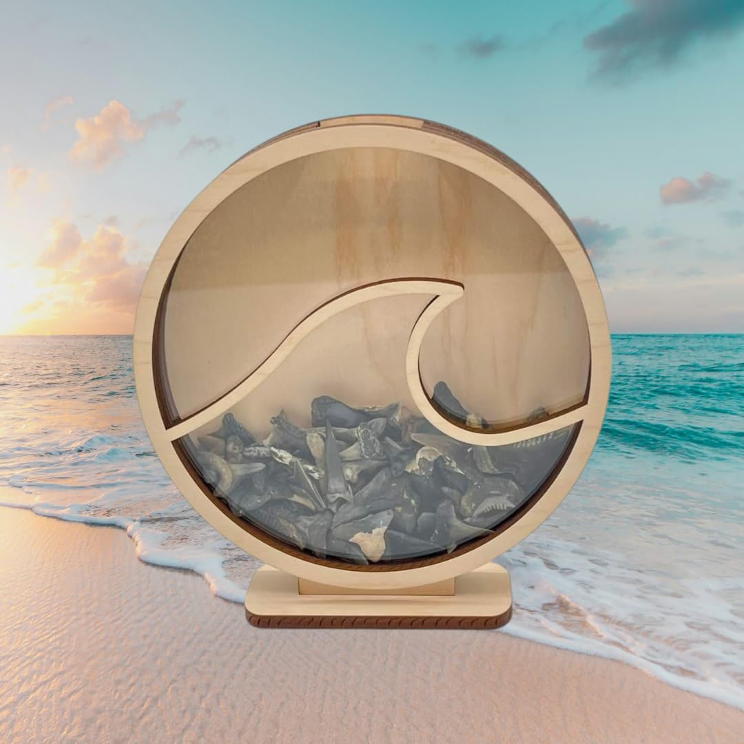 Generic Wave Shadow Box Made in USA for Your Shark Teeth, sea Glass, agates, etc.