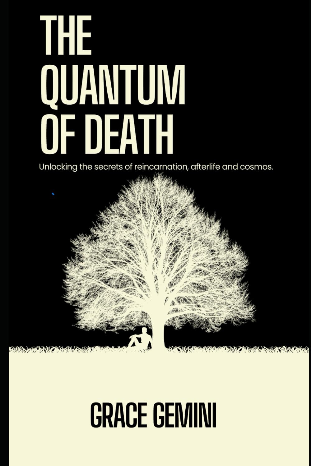 The Quantum of Death: Unlocking the secrets of reincarnation, afterlife and cosmos.
