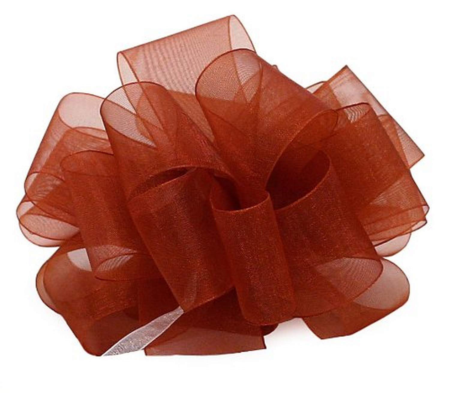 Amazon.com: Berwick Offray LLC 135747 Simply Sheer Asiana Ribbon