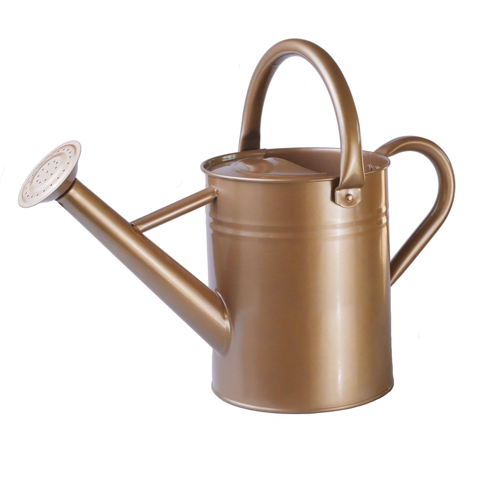 Lechloris Galvanized Watering Can