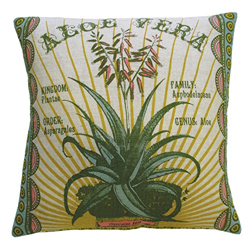 KOKO Botanica Aloe Vera Print Linen Pillow, 20 by 20-Inch