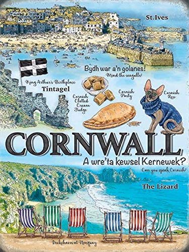 GenericCornwall Places Seaside Lands End Cornish Pasty Small Metal/Steel Wall Sign