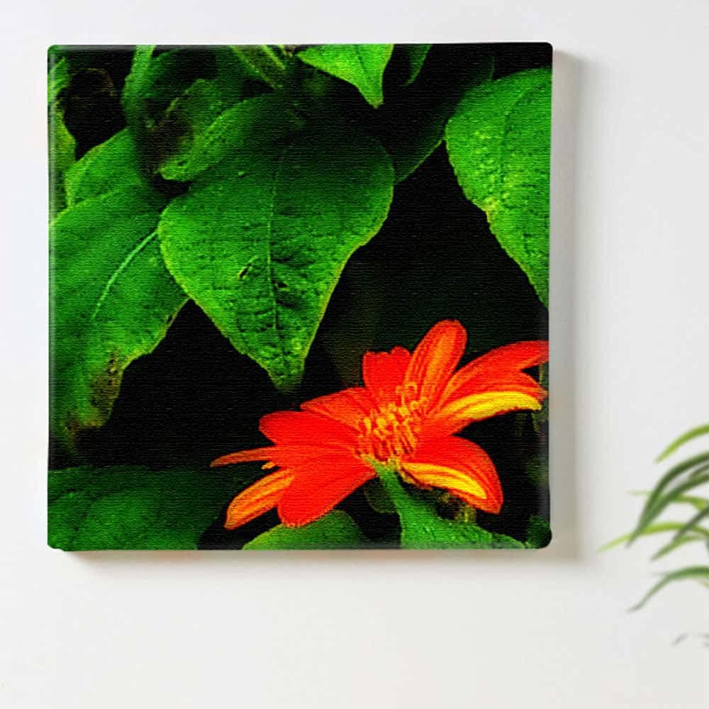Amazon.co.jp: 花 植物 アートパネル 57cm × 57cm Lサイズ 日本製
