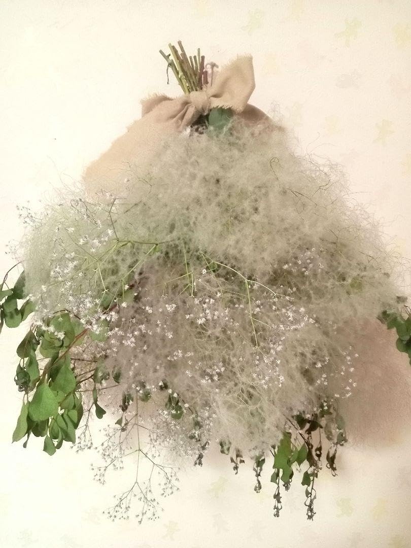 Amazon | スモークツリースワッグ ドライフラワー スモーク