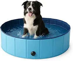 Piscina para Cachorro Resistente Dobrável Portátil Azul Petting Is Caring (Azul, 100x30cm, 6)