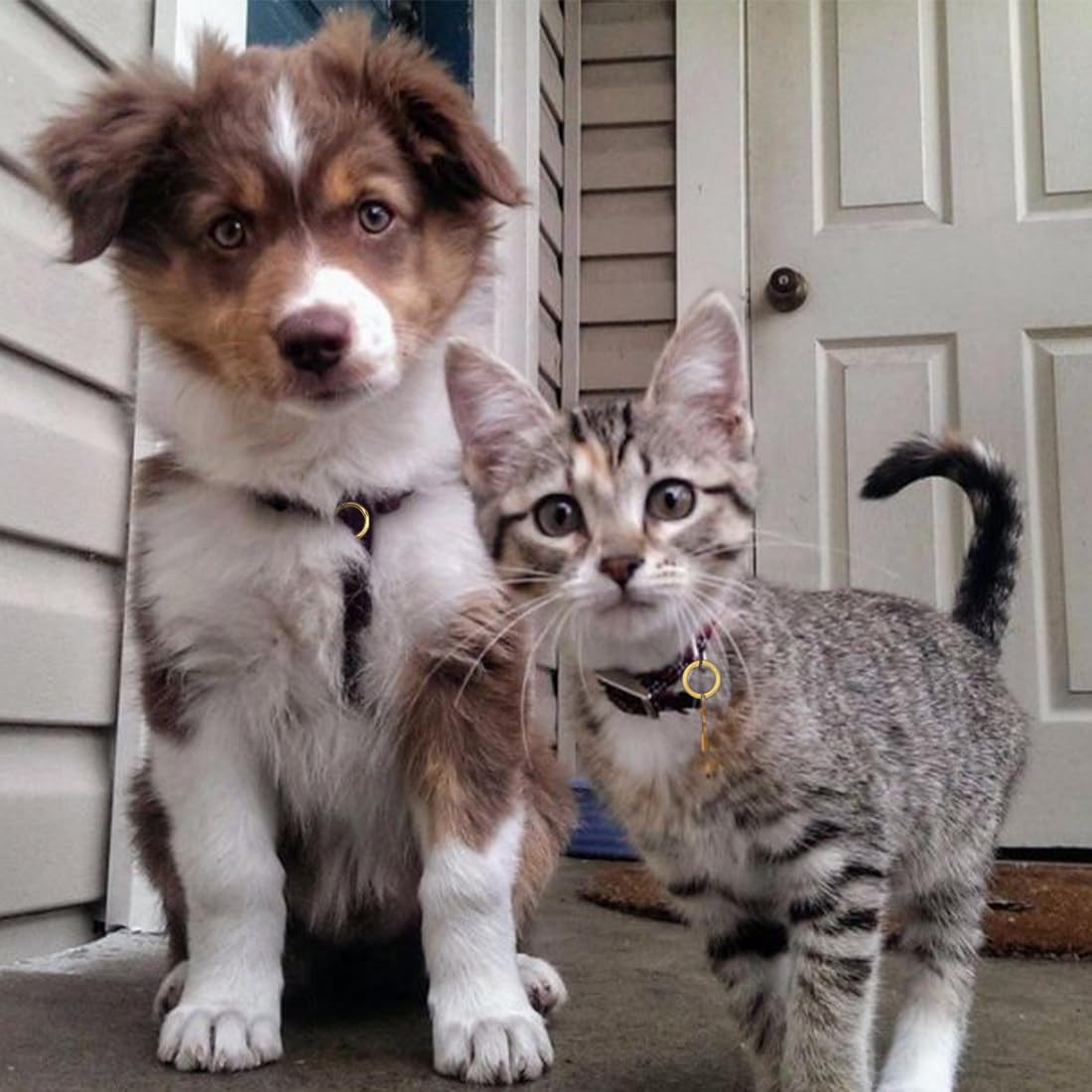 ELANE 24 Pcs Spring O Rings,Trigger Round Snap Buckle,Spring Keyring Buckle,Keychain Ring for Buckle,Bags,Purses (Gold, 1 inch) - Image 5