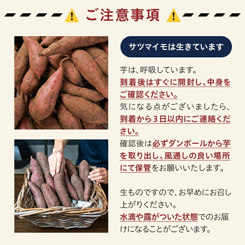 Amazon.co.jp: VEGEATE(ベジエイト) 島津甘藷 熟成紅はるか さつまいも