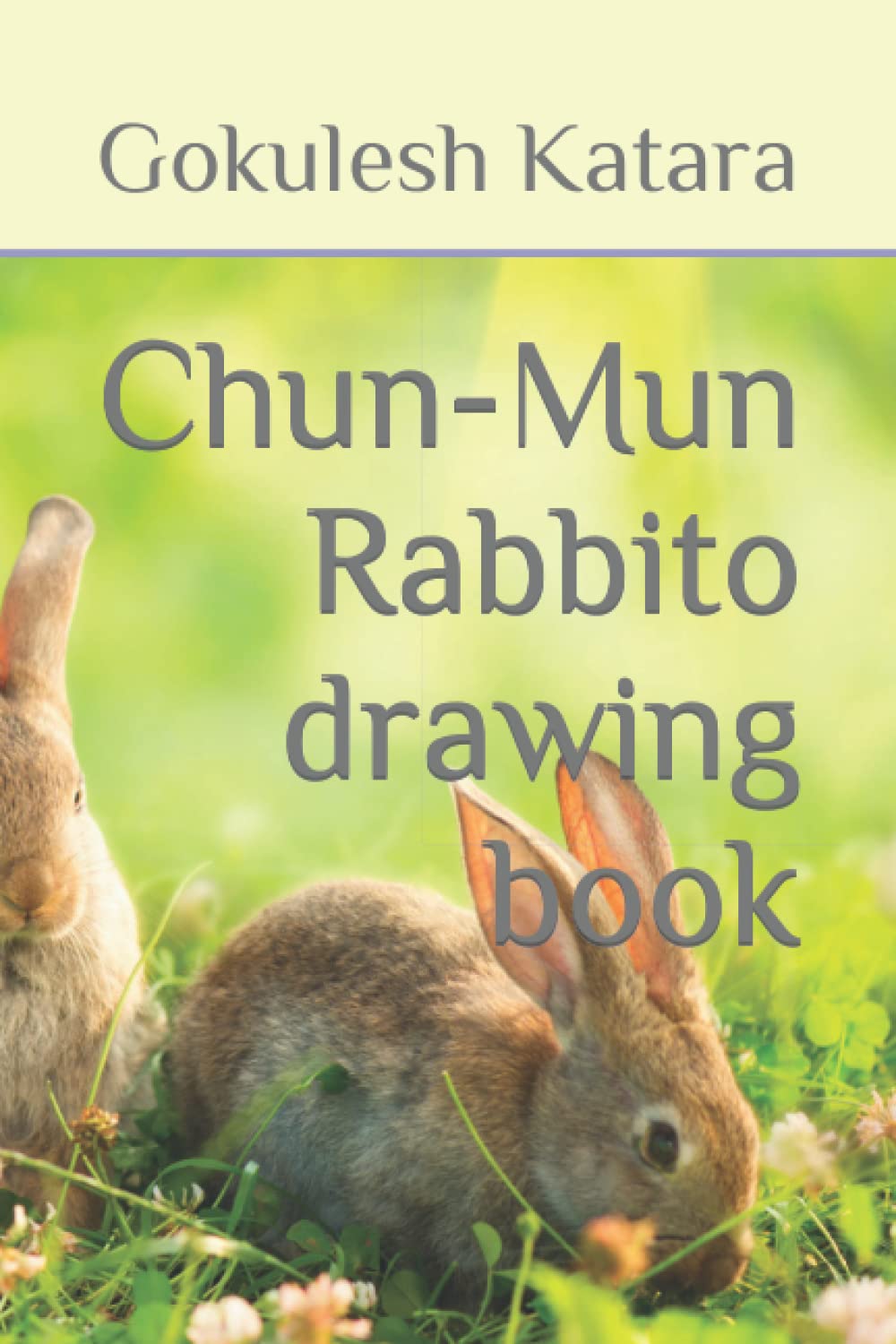 Chun-Mun Rabbito drawing book