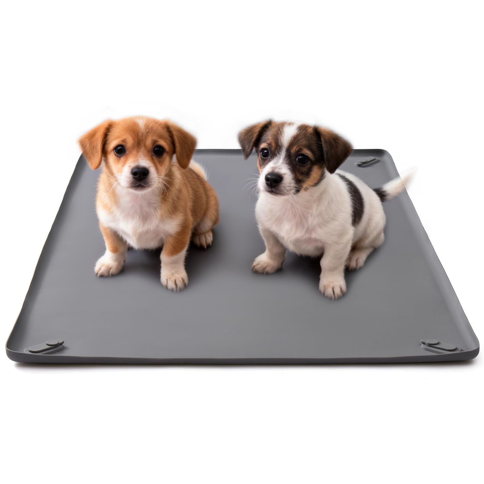 16in x 24in Dog Pee Pad Holder - Leak-Proof Non-Slip Indoor Tray, Fits Standard Puppy Pads, Ideal for Puppy Potty Training (S)
