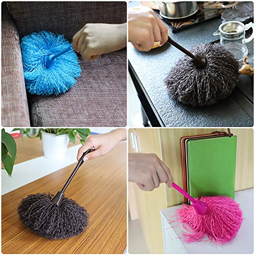Image of Feather Duster (Brown)