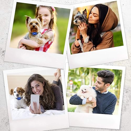 Miniatura 3 de Collar vibratorio para perro, sin golpes, collar de entrenamiento para perros pequeños con control remoto, se adapta a perros pequeños de menos de