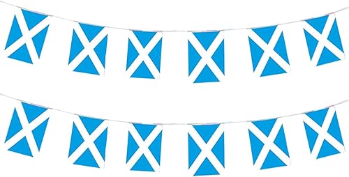 Miniatura 28 de Bandera de Argentina pequeña mini bandera argentina decoración para desfiles, fiestas, aulas, jardines y festivales (Argentina)