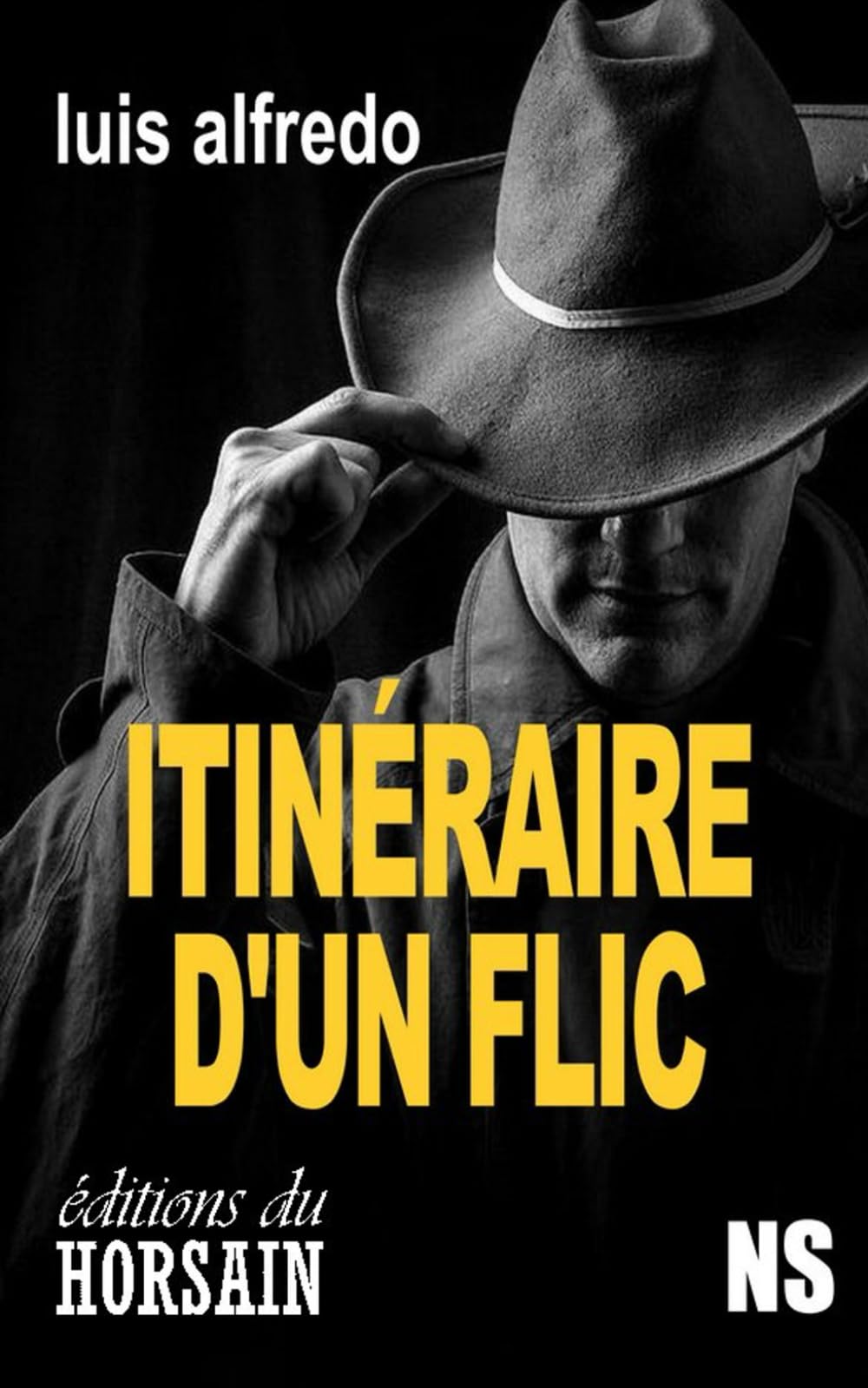 Itinéraire d'un flic Saison 1 (Toulouse en rose et noir)