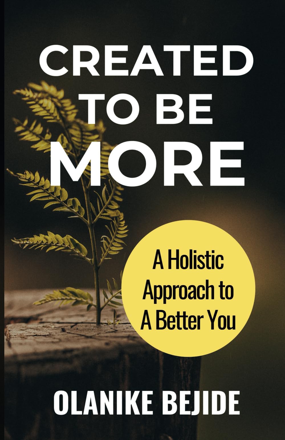 CREATED TO BE MORE: A Holistic Approach to a Better You