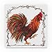 Rooster 1 Twig Border Brn by Sher Sester, 35x35-Inch Canvas Wall Art