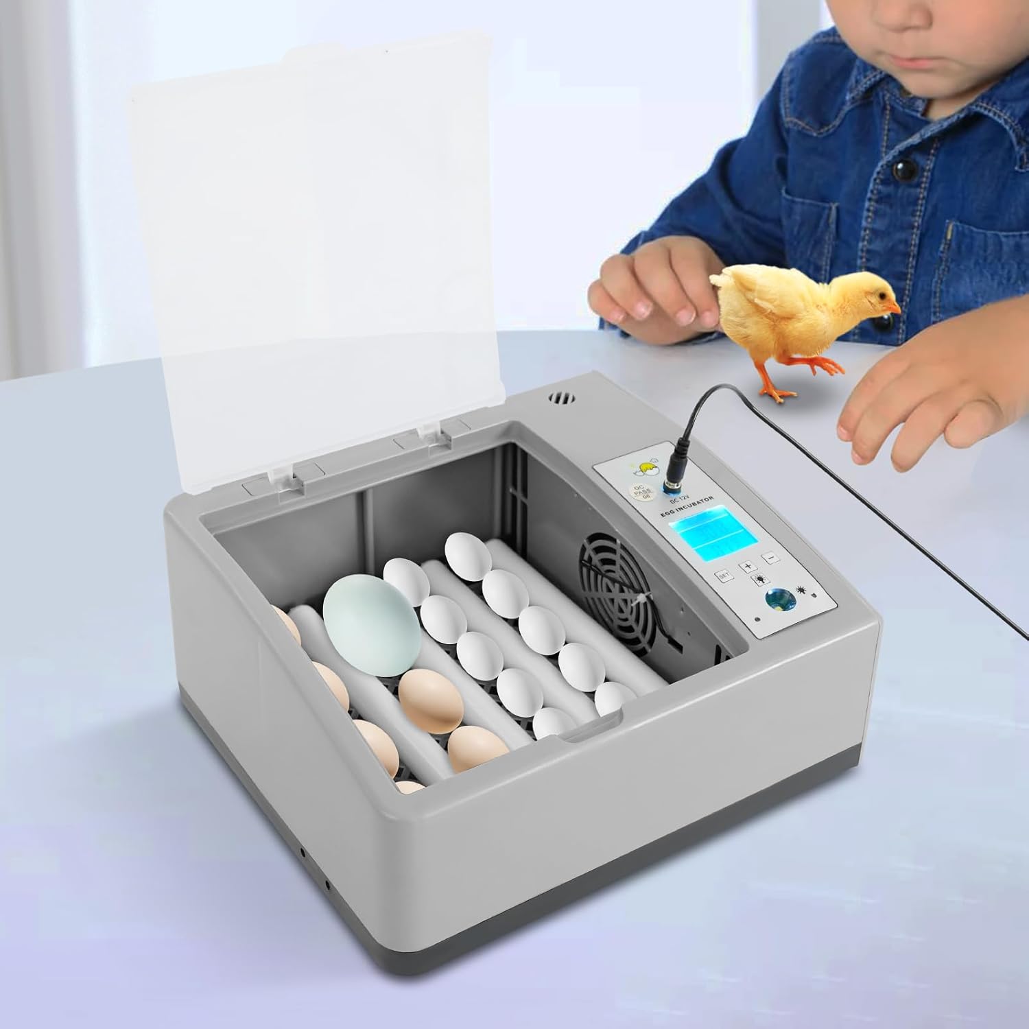 Egg Incubator w/Temperature Control 16-Egg Incubator Household Egg Incubator