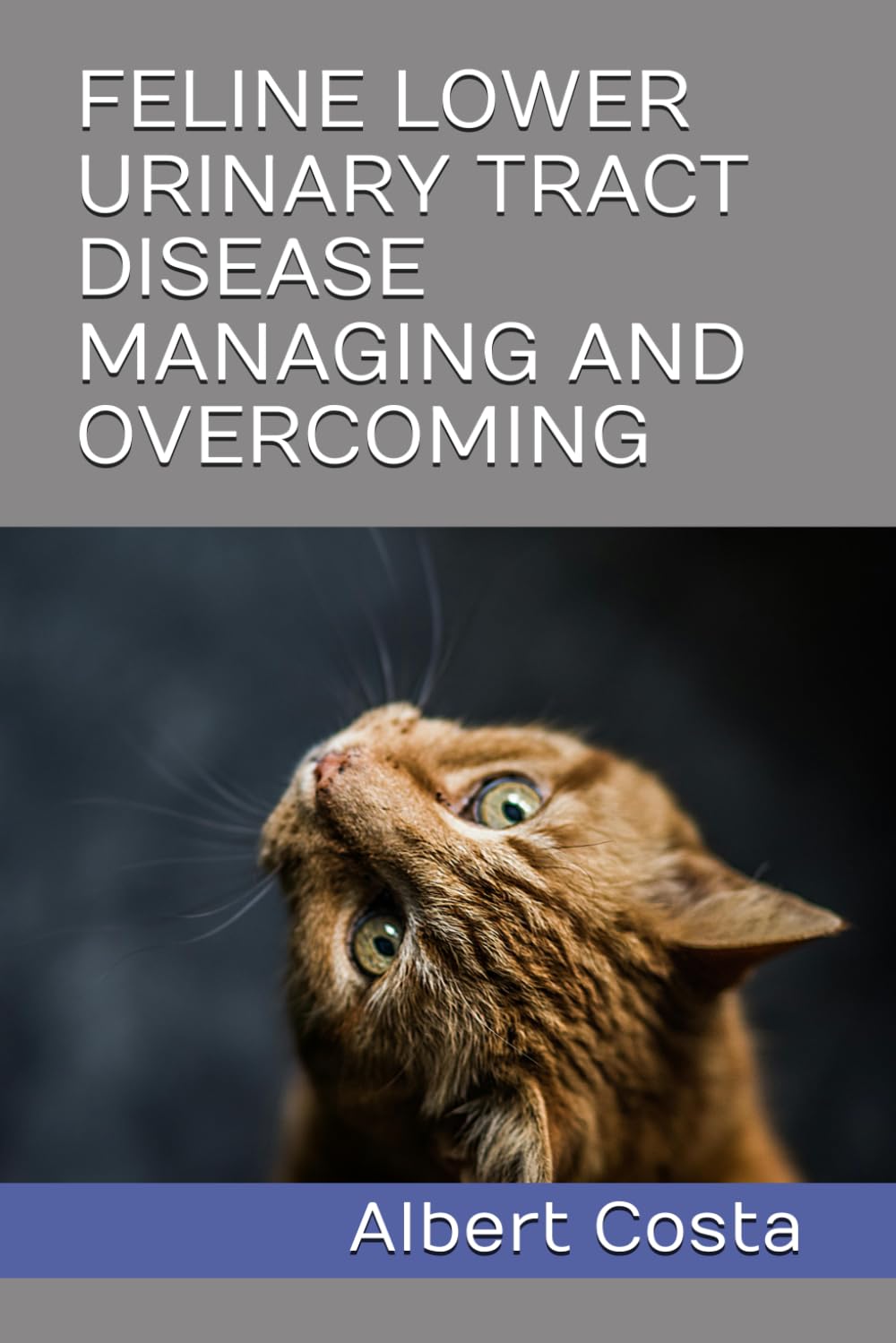 FELINE LOWER URINARY TRACT DISEASE MANAGING AND OVERCOMING