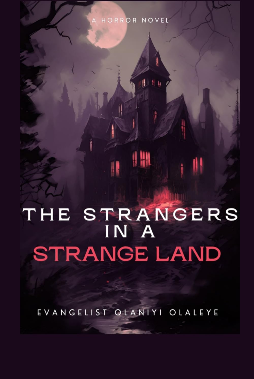 THE STRANGERS IN A STRANGE LAND: A Novel of Love, Faith, Mystery, and Destiny