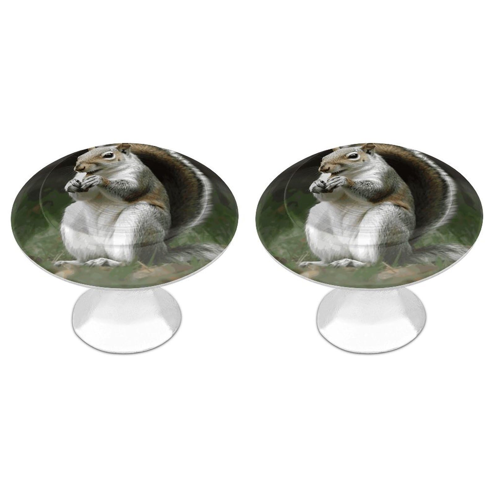 LDGSUPH Squirrel Drawer Pulls Exquisite Round Cabinet Knobs Closet Door Pulls Sturdy Stainless Steel Door Handle Dresser Drawer Knobs Cabinet Handles for Furniture Pull 2pcs
