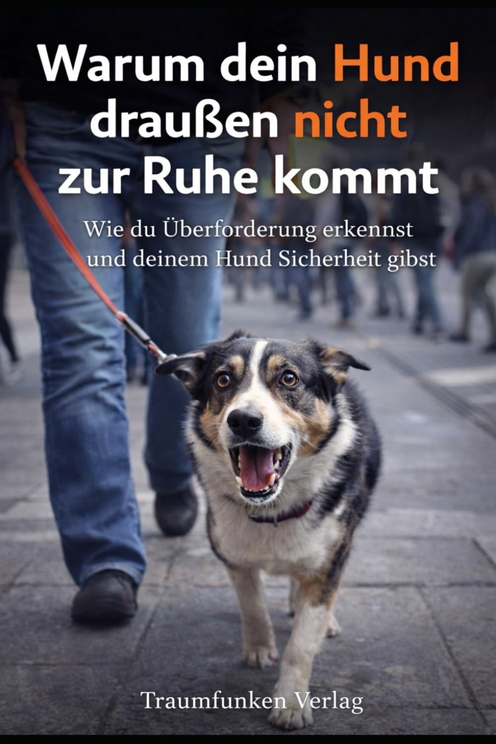 Warum dein Hund draußen nicht zur Ruhe kommt: Wie du Überforderung erkennst und deinem Hund Sicherheit gibst