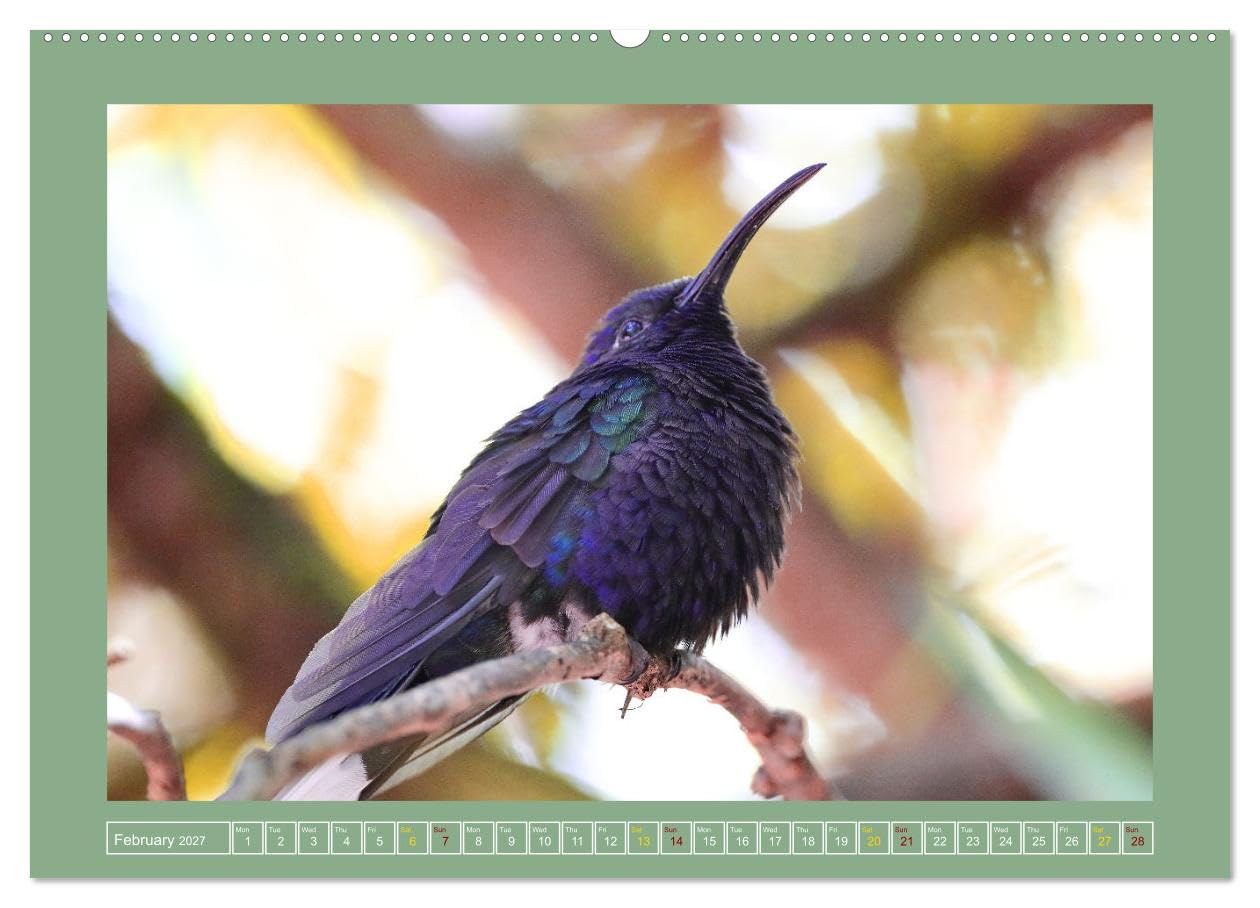 Some Costa Rican Birds (Wall Calendar 2027 DIN A2 landscape), CALVENDO 12 Month Wall Calendar: Enjoy a little of the great biodiversity you can find in Costa Rica