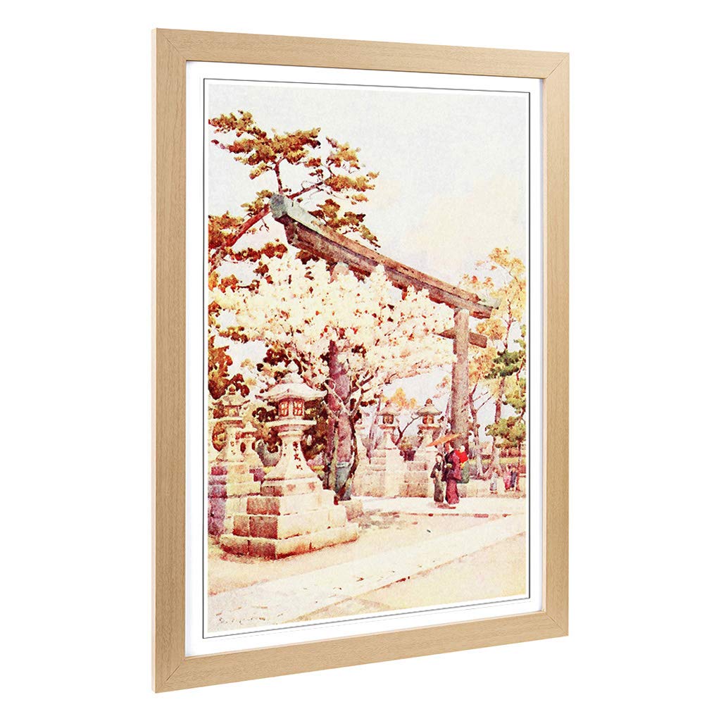 Big Box Art Framed Print of Ella Du Cane Japanese Oriental White Cherry at Kitano Design | Wall Art Picture| Home Decor for Kitchen, Living Room, Bedroom, Office, Oak, A2 / 24.5x18 Inch / 62x45cm