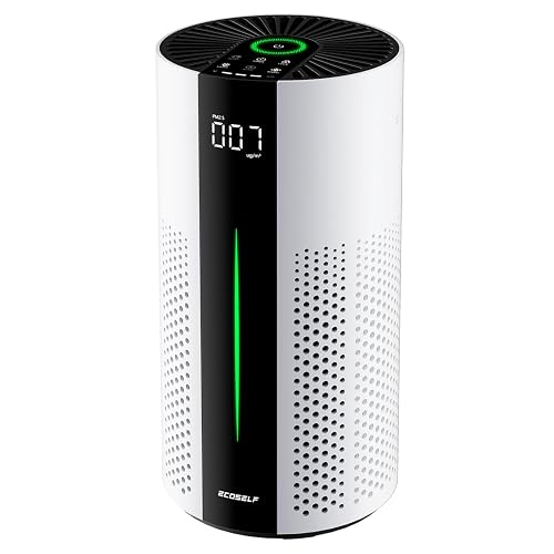ECOSELF Air Purifier for Home Large Room