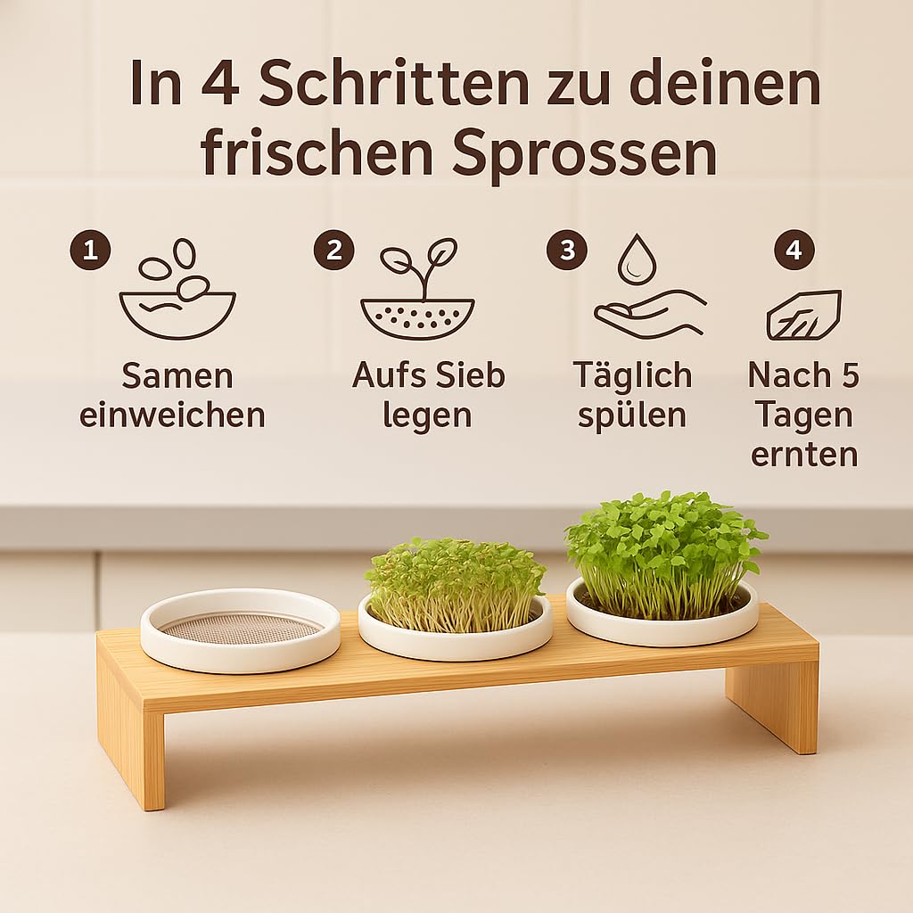 Glücksmoment Kressebank 42cm mit 3 Keramik Kresse Anzuchtschalen für Kressesamen, Sprossen & Microgreens, Sprossen Anzuchtset, Anzuchtregal, 3 Anzuchttöpfe, 3 x Keimschale mit Kressesieb, Keimschalen