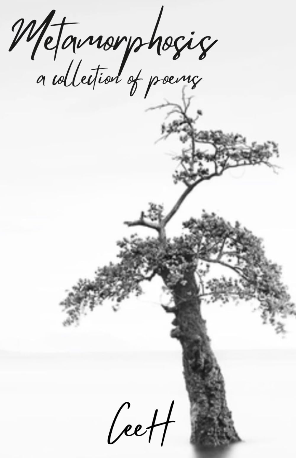 Metamorphosis: A collection of poems
