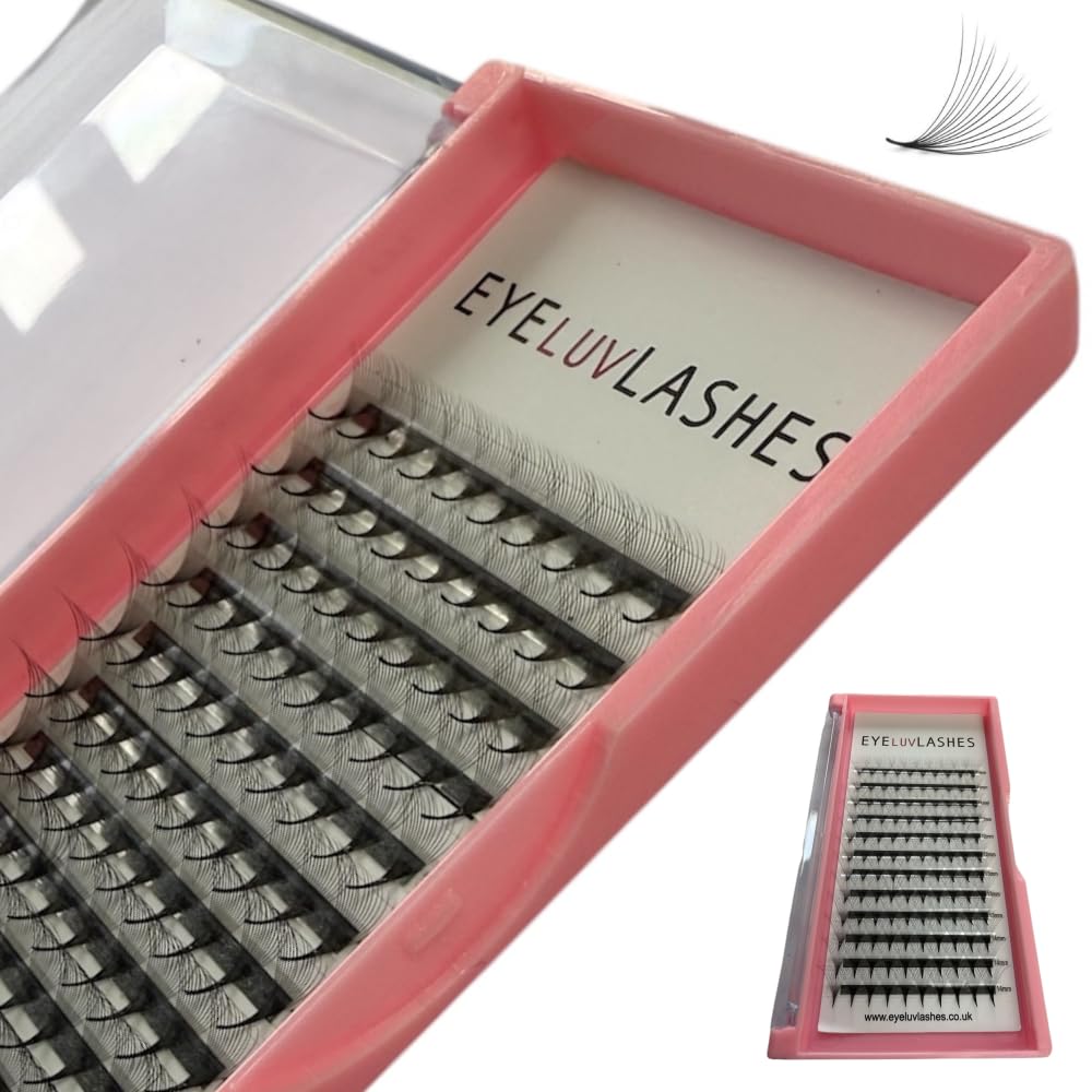 Russian Premade Lashes 14D D Curl 11-14 Mix Length Pre Made Lash Fans Volume Lashes Promade Lash Extensions Pre Made Lash Fans Eyelash Tray (14D 0.05 D Curl 11-14 Mix)