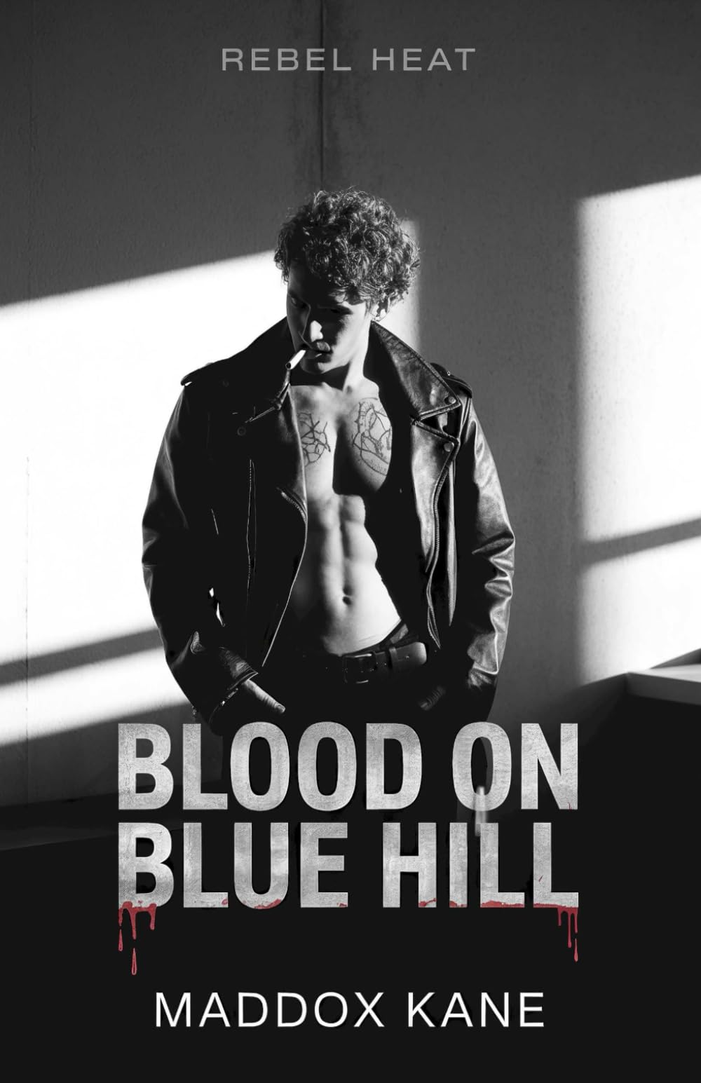 Blood on Blue Hill: A Dax McCall Gay Murder Mystery (Rebel Heat)