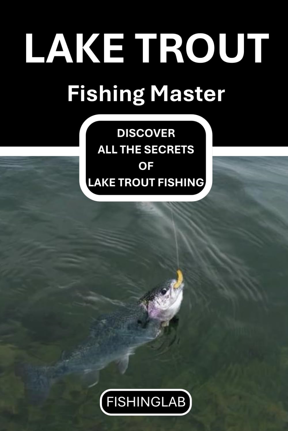 Lake Trout Fishing Master: Techniques, Rigs, and Tips for Stillwater Trout Fishing – Master Lake Trout Angling with Proven Gear Setups and Strategies