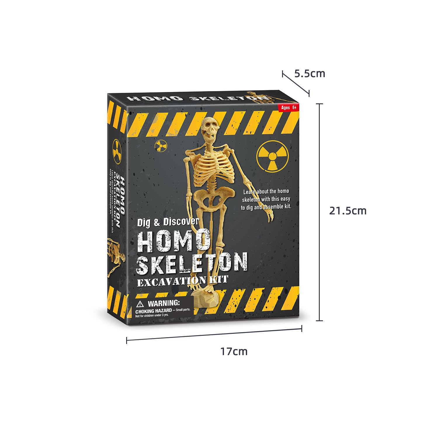 EDUMAN Homo Skeleton Dig Kit for Kids Excavation Kit with Human Skeleton Model - Image 2