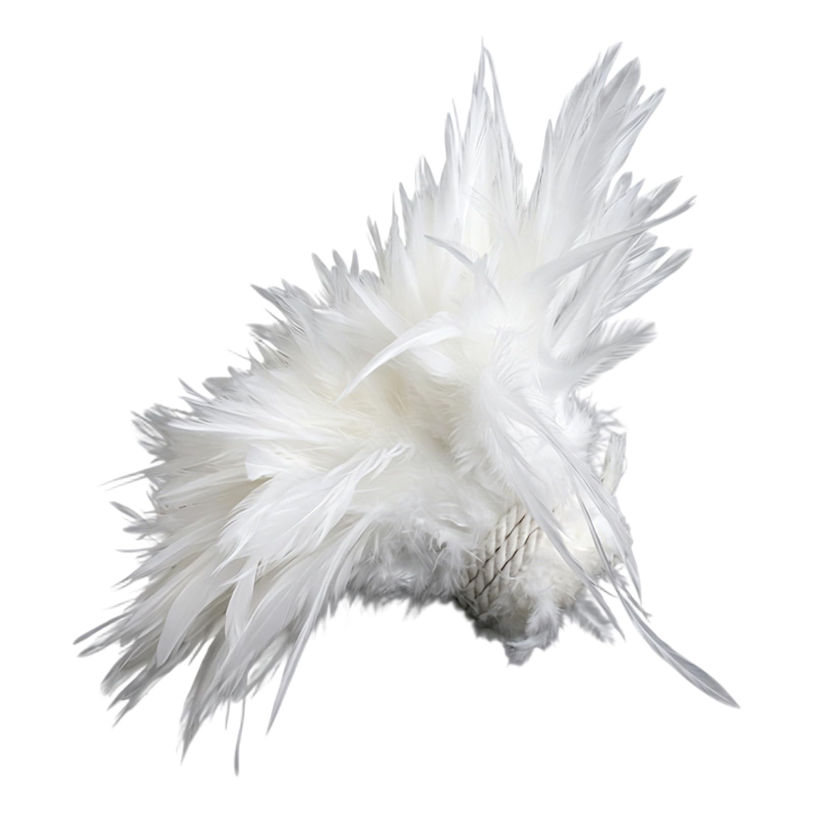 Hsioluted Plumage Bunches for Creative Art Projects and Costume Accessories Down Hair Clamps