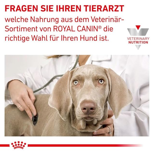 Foto 4 de 8 de Royal Canin Skin Care, Alimento Dietético Completo para Perros Adultos - 2 Kg