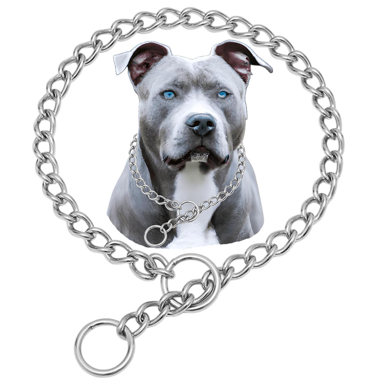 Dog Choker Chain for Large Dogs, 304 Stainless Steel Heavy Duty Slip Collars Chew Proof, Martingale Puppy Collars for XXS XS Small Medium Big Dogs, Silver, L