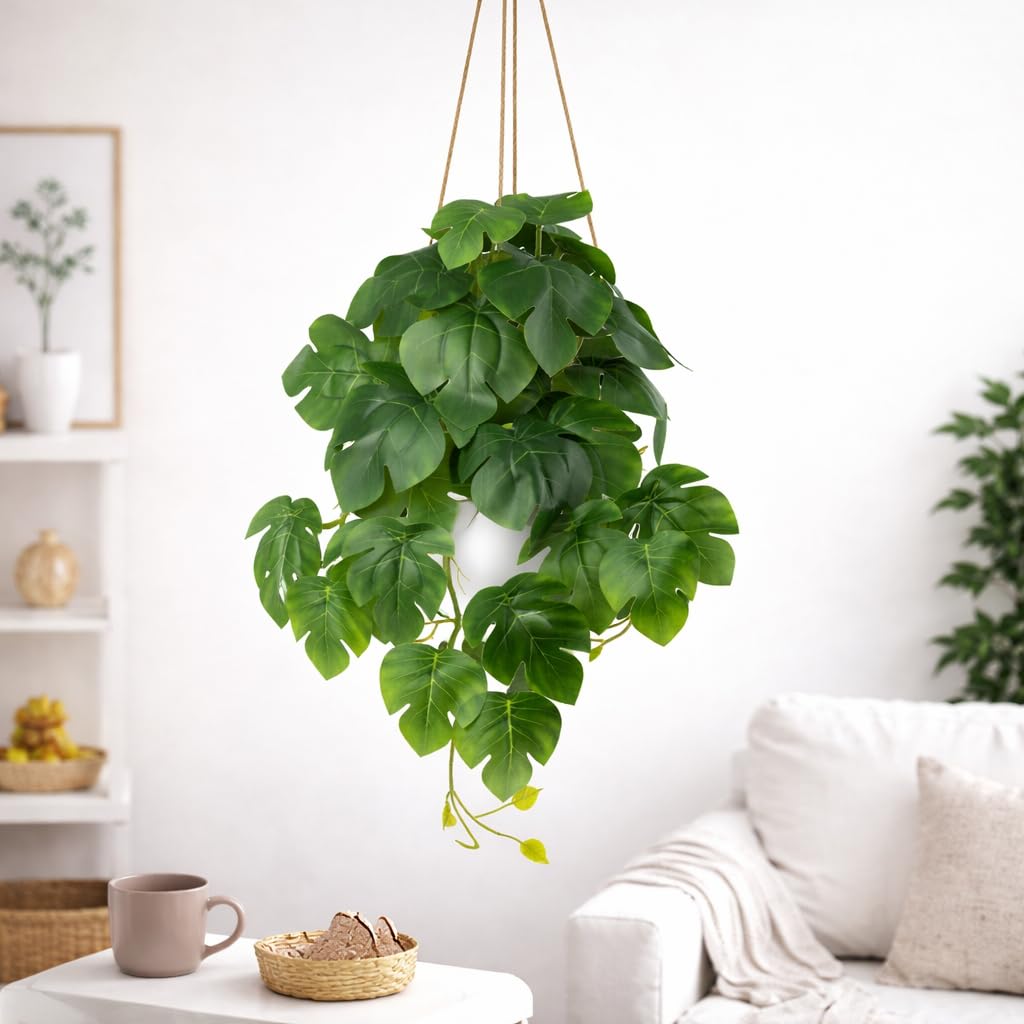 Amazon.de: PASCH Knstliche Hngepflanzen: Monstera knstlich | knstliche  Pflanzen wie echt | Kunstpflanzen hngend | Kunstpflanze hngend im Topf |  Hngepflanze knstlich mit Topf (Monstera Deliciosa, 36cm)