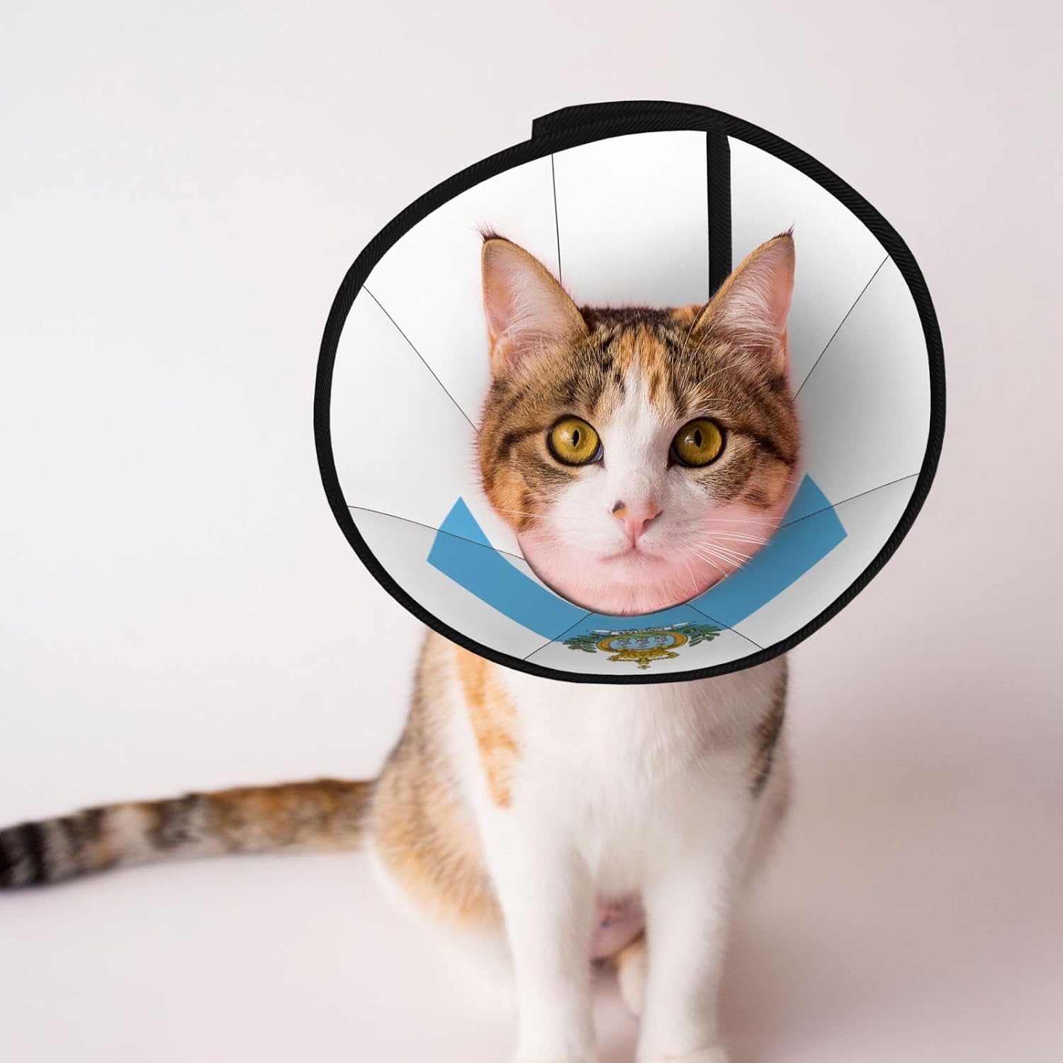 Flag of San Marino Print Cat Cone Collar, Adjustable Elizabethan Collar, Soft Dog Recovery Collars, for Small Large Cats