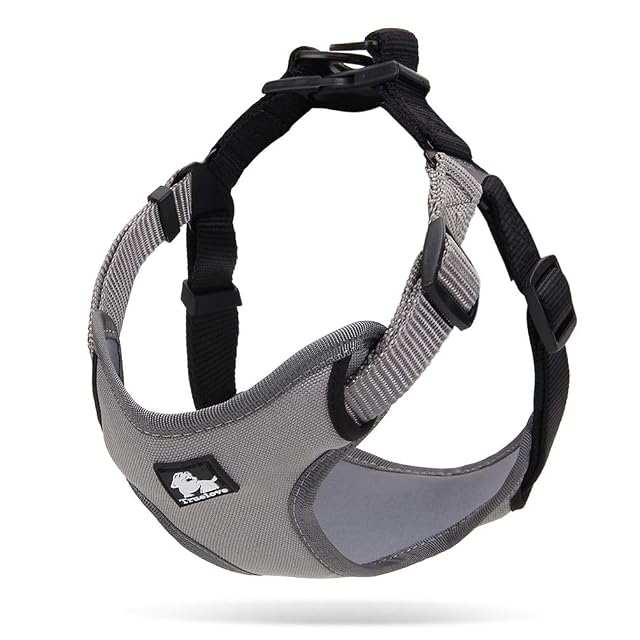 Foto 4 de 7 de WINHYEPET arnés Reflectante para Mascota arnés Ajustable para Correr Caminando Acolchado Suave Malla Chaleco…