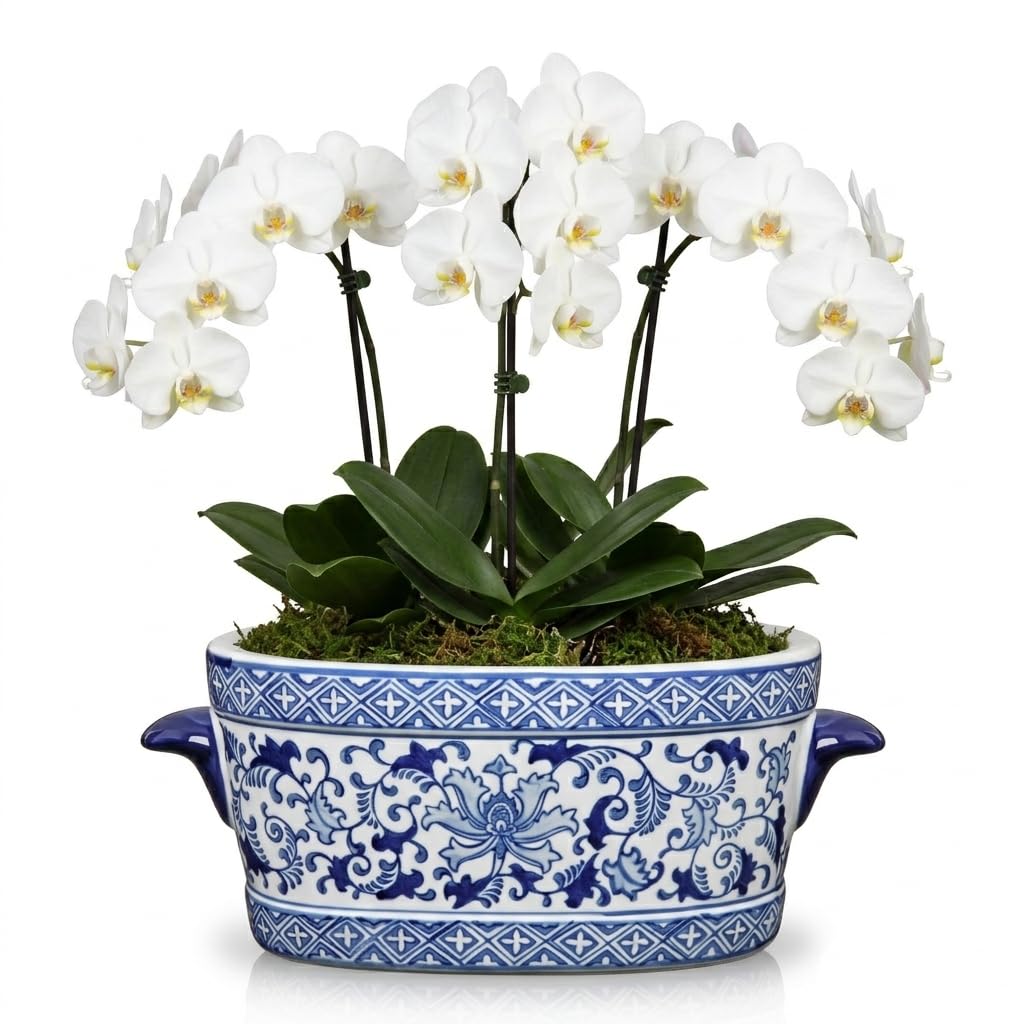 Pot de fleurs en céramique chinoiserie en porcelaine émaillée