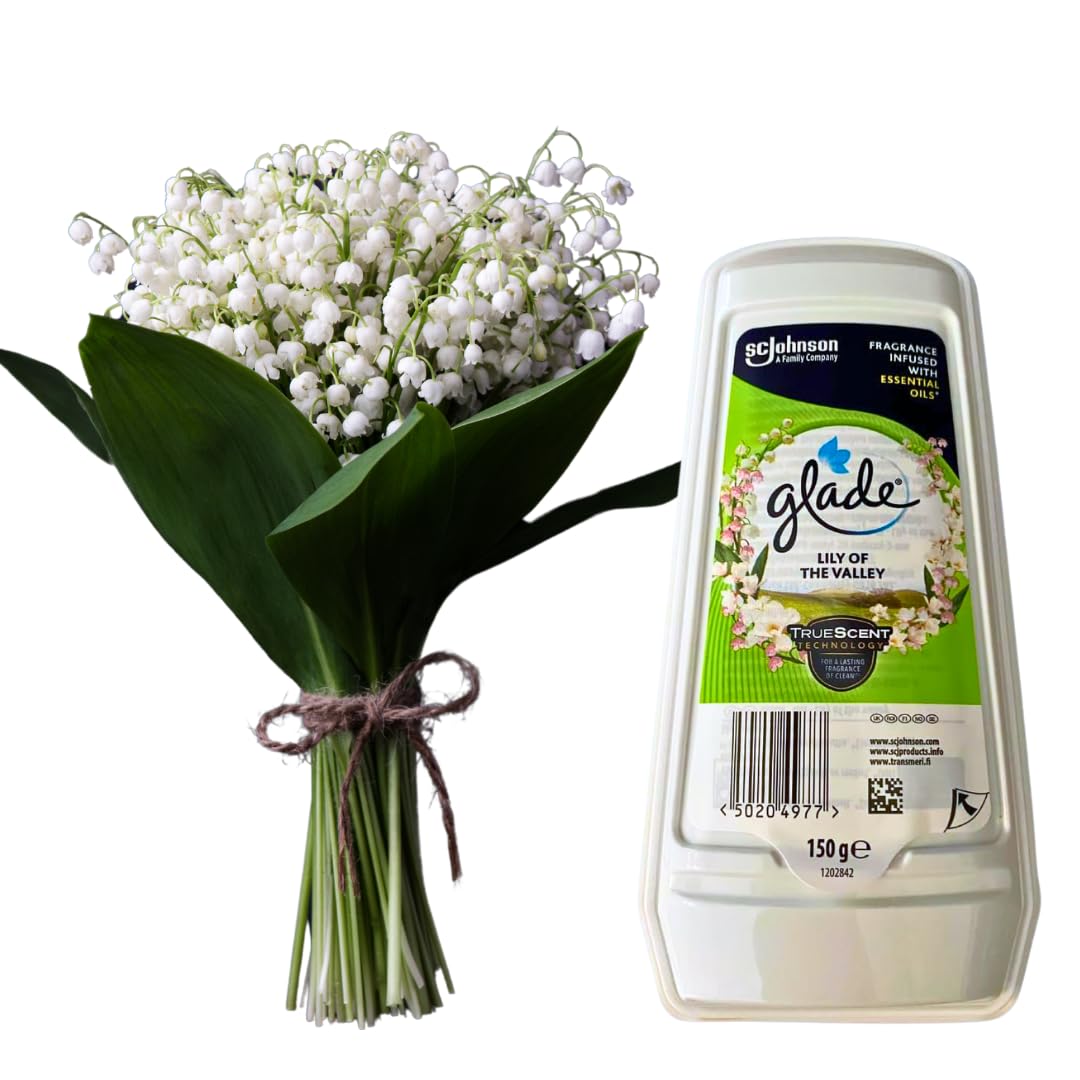 Glade Lily of the Valley Air Freshener Gel - True Scent Technology Odor Eliminator with Essential Oils, Fragranced Mist for Home, Bathroom, Kitchen, Pet Areas, 150g