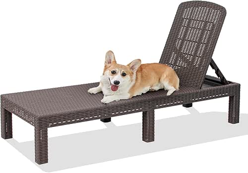 DIMAR GARDEN Outdoor Chaise Lounge,Resin Pool Lounge Chair Waterproof Recliner