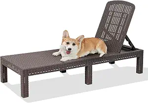DIMAR GARDEN Outdoor Chaise Lounge, Resin Pool Lounge Chair Waterproof Recliner Beach Chairs, Mocha